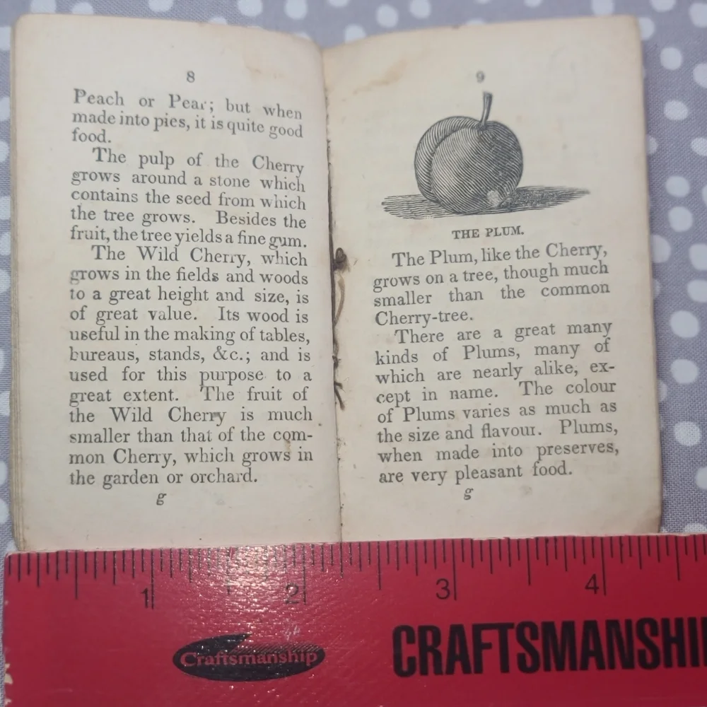 Cobb's‎ Toys 1835 Tiny Booklet By Benjamin Olds Peach, Pear, Cherry, Plum Good